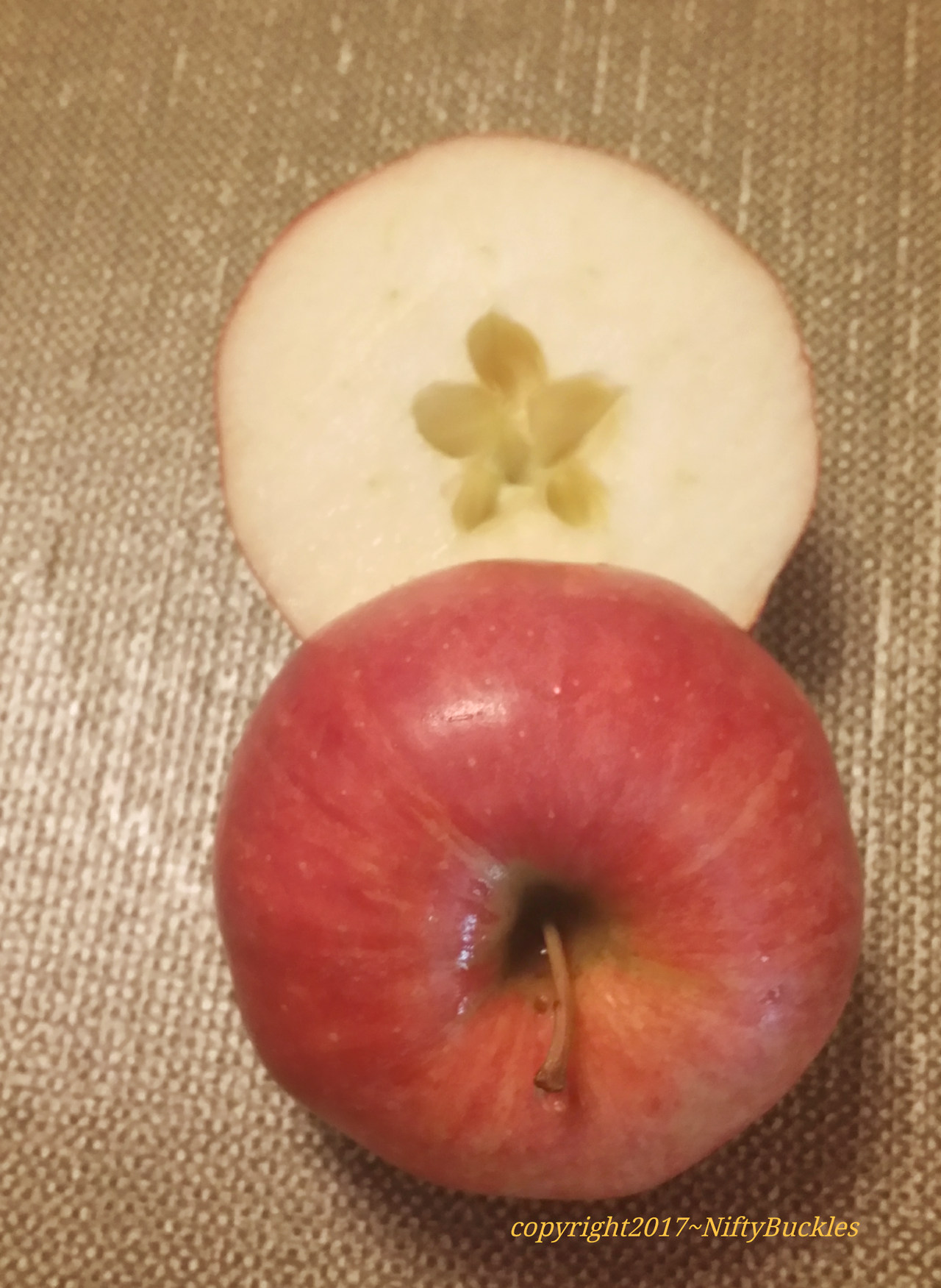 tumblr_ouqj2dcx2z1wqjztoo1_1280